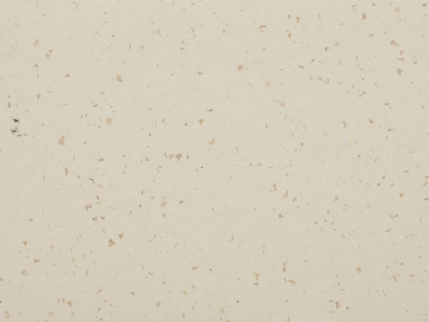 5404 VANILLA SKY