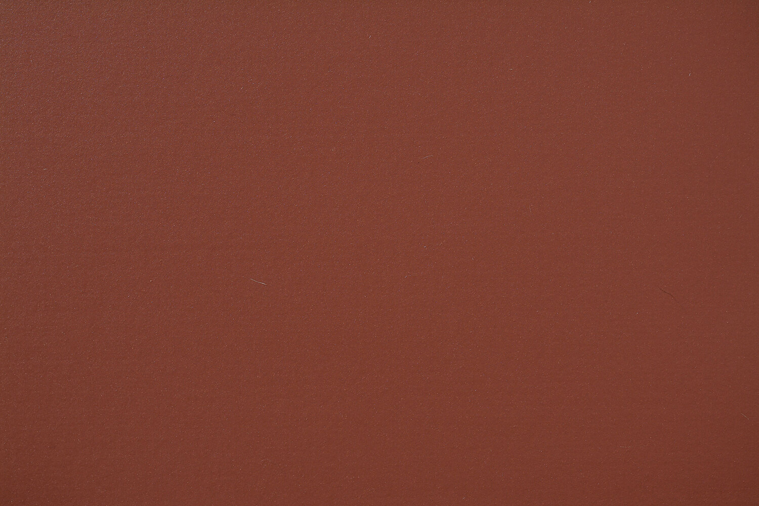 0088 CHESTNUT