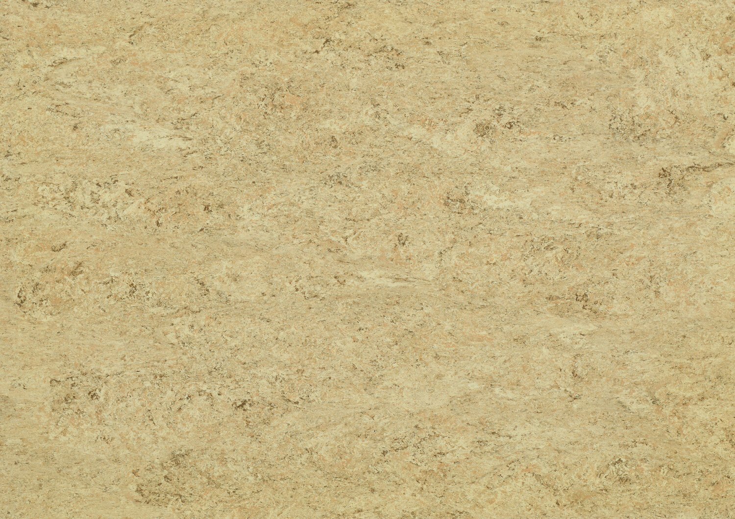 0070 ROCKY BROWN